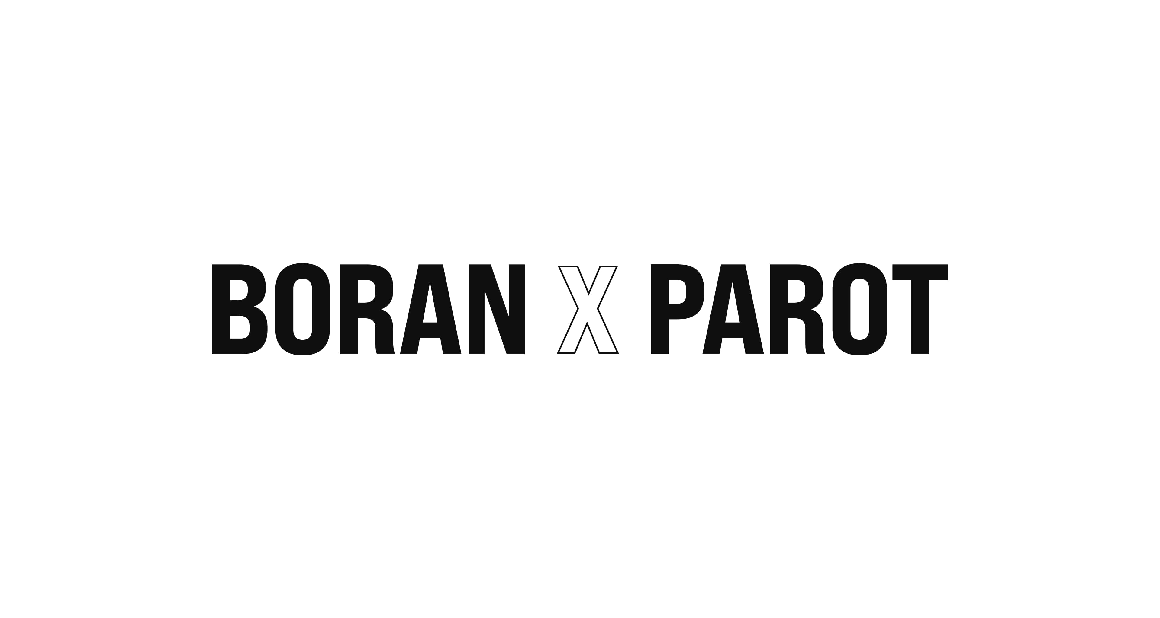 Boran & Parot GmbH Logo